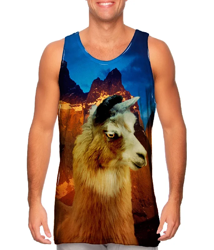 Cozy Fashion Relaxed Streetwear Fit Andes Llama Sunset